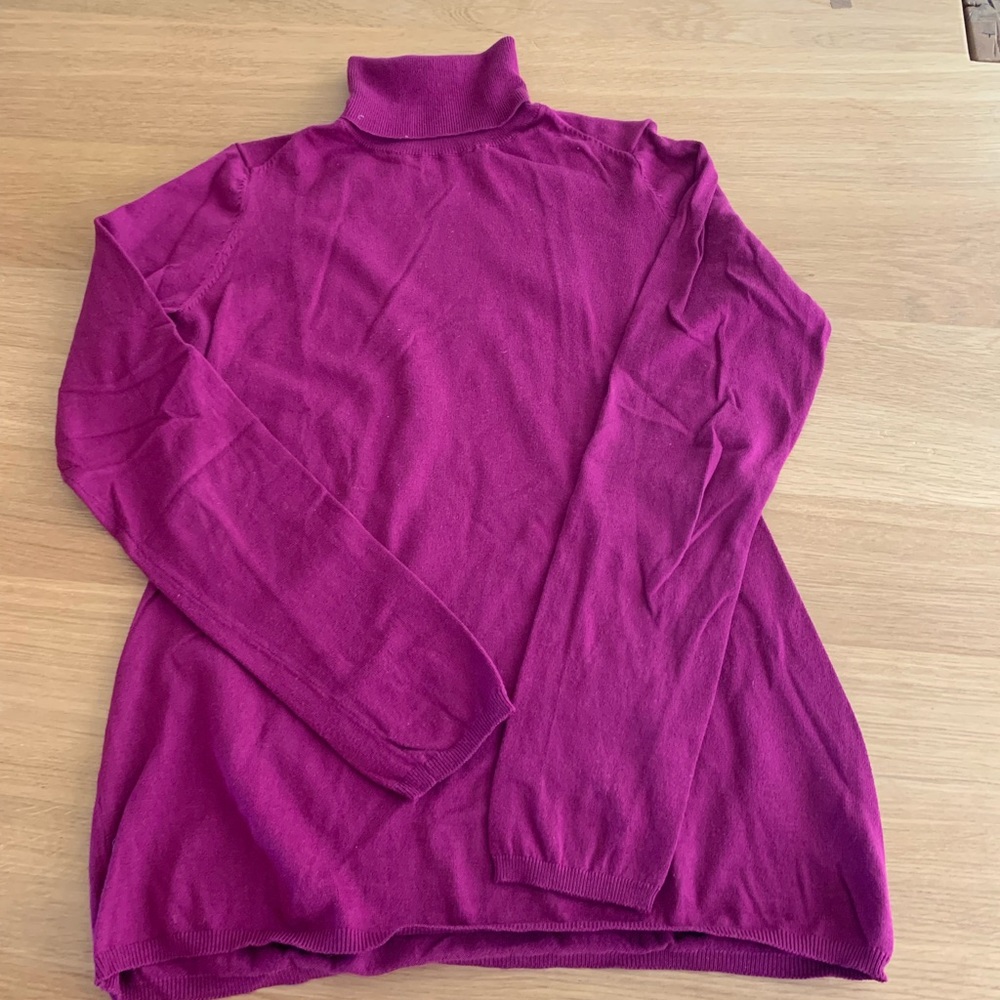 Gap turtleneck sweater